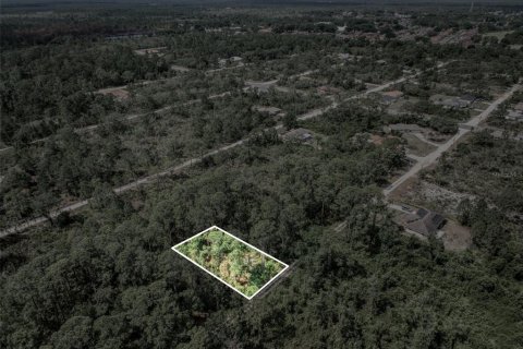Land in Sebring, Florida № 2164961 - photo 5
