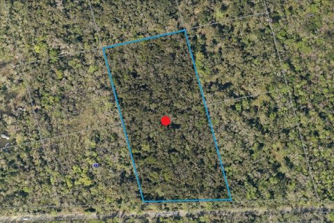 Land in Oak Hill, Florida № 1244937 - photo 6