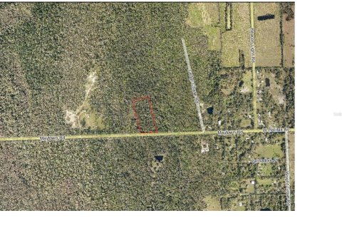 Land in Oak Hill, Florida № 1244937 - photo 7