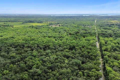 Land in Oak Hill, Florida № 1244937 - photo 3