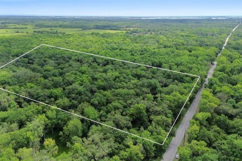 Land in Oak Hill, Florida № 1244937 - photo 1
