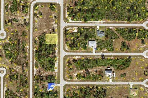Land in Placida, Florida № 2163685 - photo 2