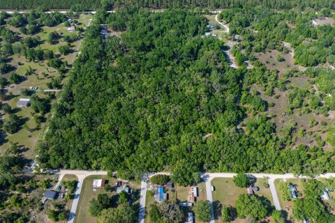 Terrain à vendre à Chiefland, Floride № 1648996 - photo 28