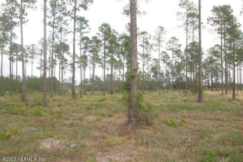 Terreno en venta en Jacksonville, Florida № 841064 - foto 1