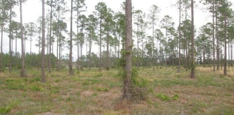 Terreno en Jacksonville, Florida № 841064