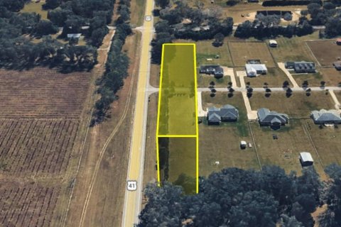 Land in High Springs, Florida № 2205320 - photo 5