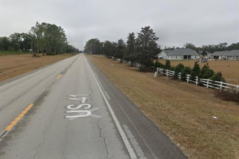 Land in High Springs, Florida № 2205320 - photo 12