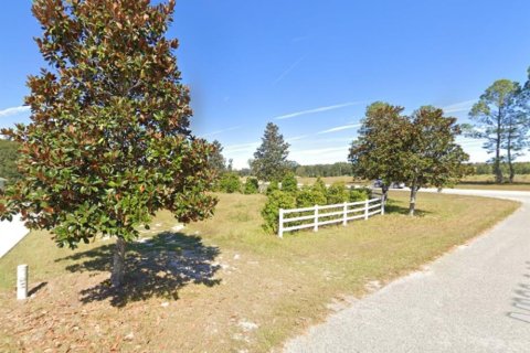 Land in High Springs, Florida № 2205320 - photo 9