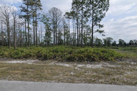 Land in Placida, Florida № 2206837