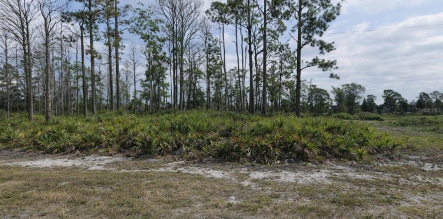 Land in Placida, Florida № 2206837