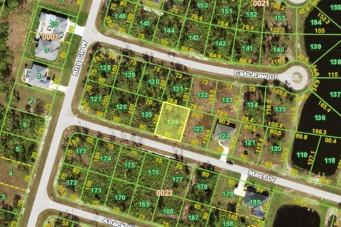 Land in Placida, Florida № 2206837 - photo 2