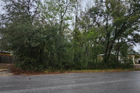 Terreno en venta en Ocala, Florida № 1562926 - foto 2
