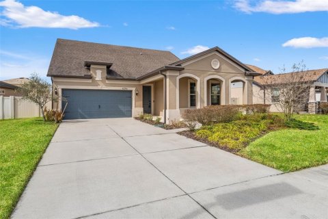 House in Wesley Chapel, Florida 4 bedrooms, 247.31 sq.m. № 2393420