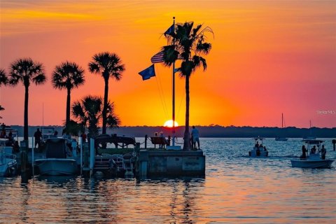 Land in Punta Gorda, Florida № 2213952 - photo 2