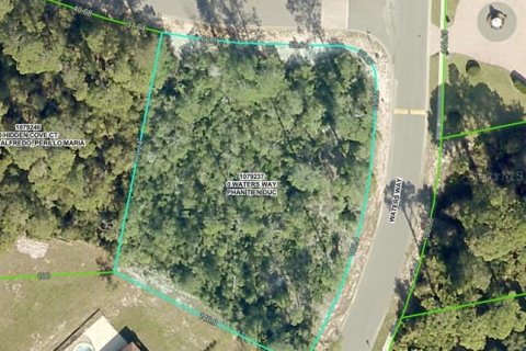 Terreno en venta en Weeki Wachee, Florida № 1765602 - foto 1