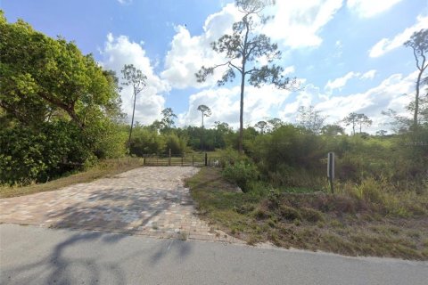 Land in Naples, Florida № 2203377 - photo 2
