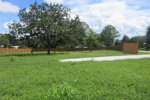 Land in Ocklawaha, Florida № 2361164