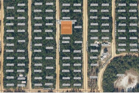 Land in Interlachen, Florida № 2163431