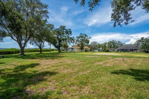 Land in Palmetto, Florida № 1885944 - photo 8