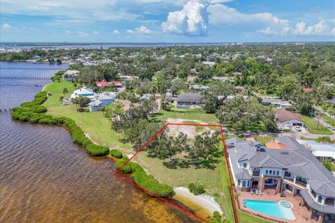 Land in Palmetto, Florida № 1885944 - photo 4