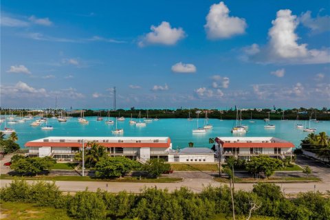 Condo in Marathon, Florida, 2 bedrooms  № 1367254 - photo 29