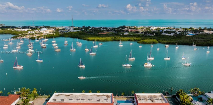 Condo in Marathon, Florida, 2 bedrooms № 1367254