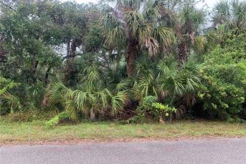 Land in Port Charlotte, Florida № 2160045 - photo 3