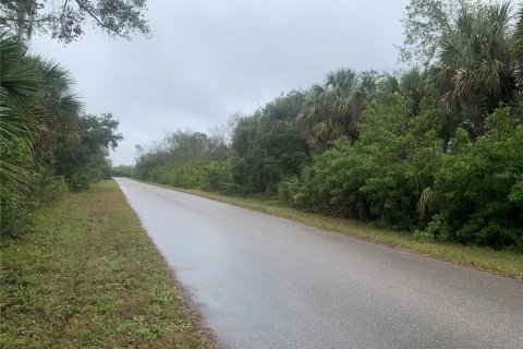 Land in Port Charlotte, Florida № 2160045 - photo 2