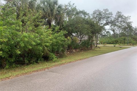 Land in Port Charlotte, Florida № 2160045 - photo 4