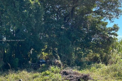 Terreno en venta en Miami-Dade, Florida № 1957304 - foto 1