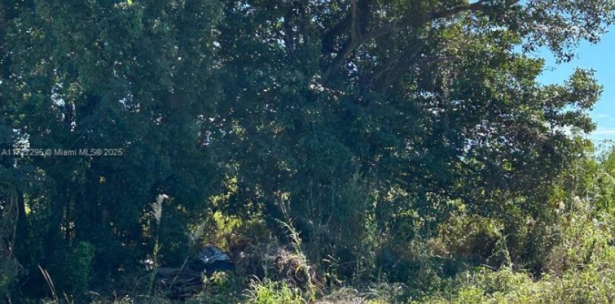 Terreno en Miami-Dade, Florida № 1957304