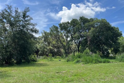 Terrain à vendre à Leesburg, Floride № 1799925 - photo 22