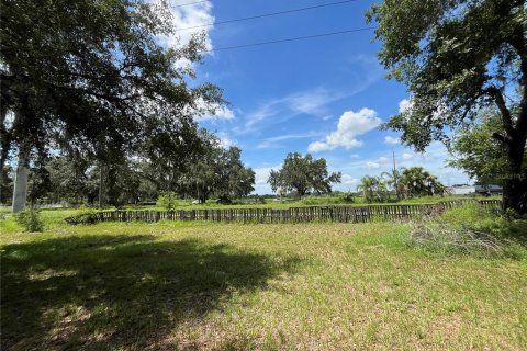 Terrain à vendre à Leesburg, Floride № 1799925 - photo 13