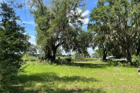 Terrain à vendre à Leesburg, Floride № 1799925 - photo 18