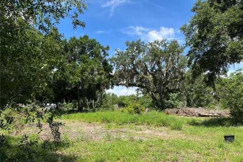 Terrain à vendre à Leesburg, Floride № 1799925 - photo 30