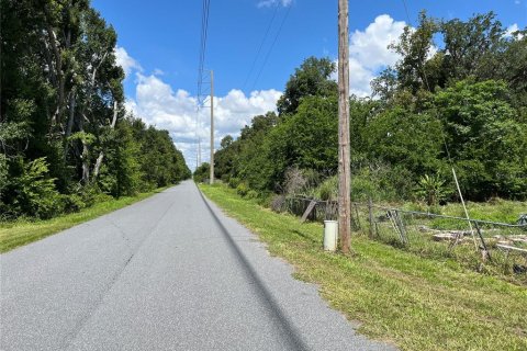 Terrain à vendre à Leesburg, Floride № 1799925 - photo 6