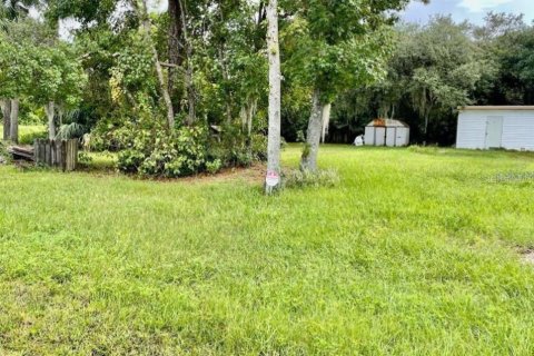 Land in Chuluota, Florida № 1721528 - photo 2