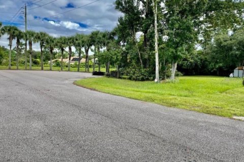 Land in Chuluota, Florida № 1721528 - photo 3