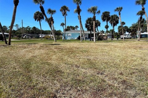 Terrain à Venice, Floride № 2294751
