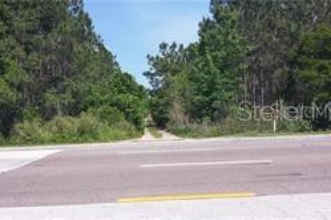Land in Orlando, Florida № 214513 - photo 9