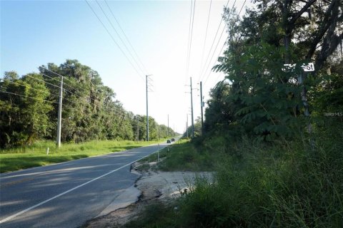 Terrain à Leesburg, Floride № 2125421