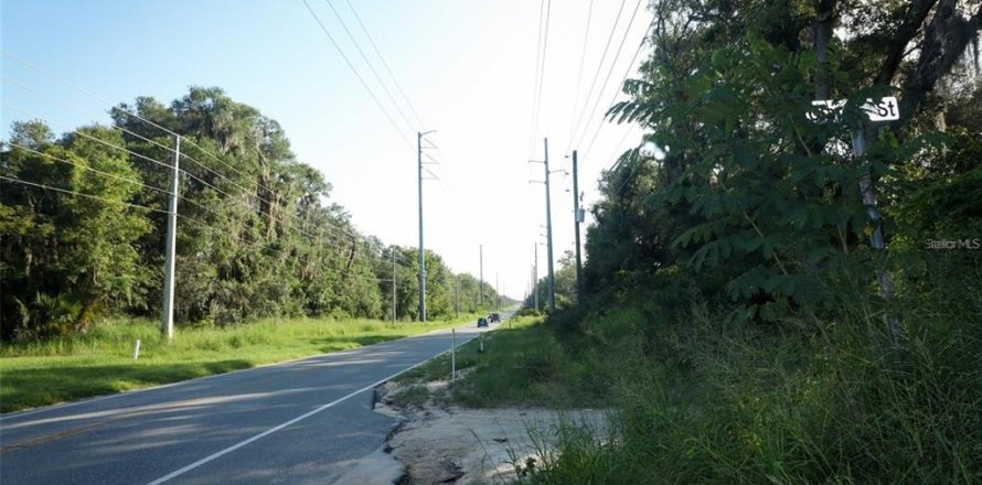 Terreno en Leesburg, Florida № 2125421