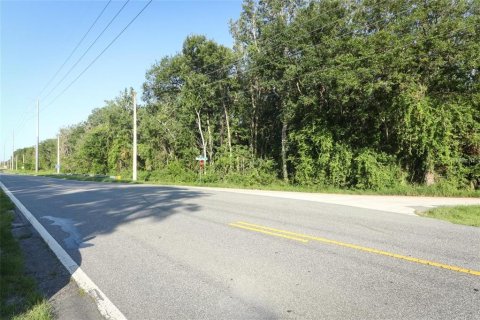 Terreno en venta en Leesburg, Florida № 2125421 - foto 2