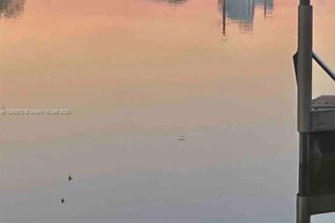 Villa ou maison à louer à Hollywood, Floride: 3 chambres, 122.54 m2 № 1887344 - photo 28