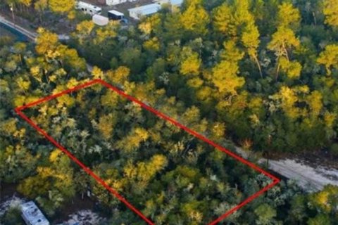 Land in Fort MC Coy, Florida № 2159580