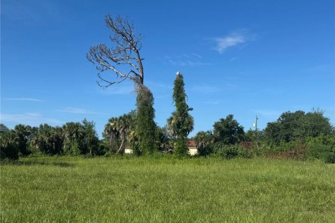 Land in Rotonda, Florida № 1846893 - photo 3