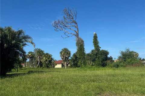 Land in Rotonda, Florida № 1846893 - photo 2