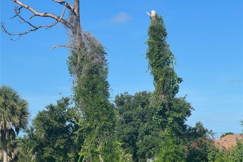 Land in Rotonda, Florida № 1846893 - photo 4