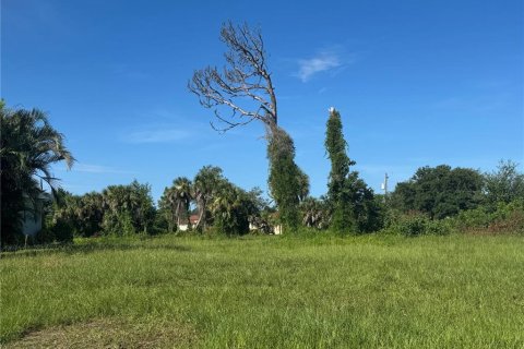 Land in Rotonda, Florida № 1846893 - photo 1