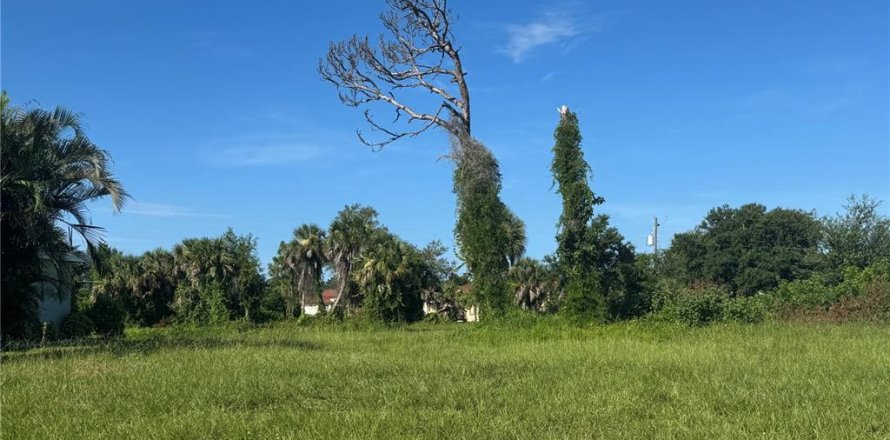 Land in Rotonda, Florida № 1846893